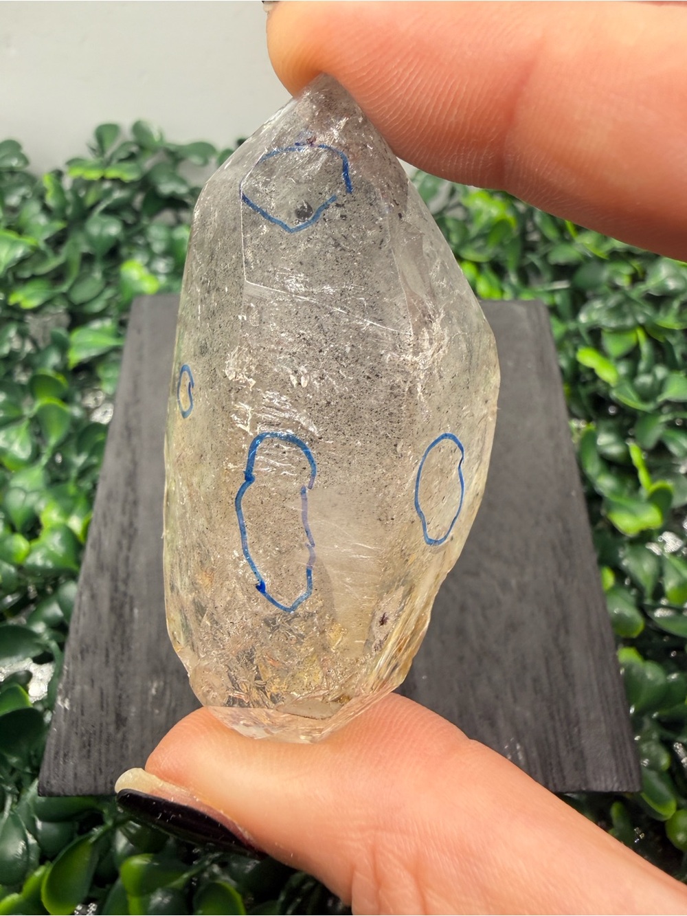 DT Quartz Enhydro with 4 Water Pockets!